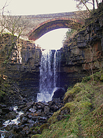 Ash Gill Force